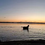 2 Familie Siegl Pouch