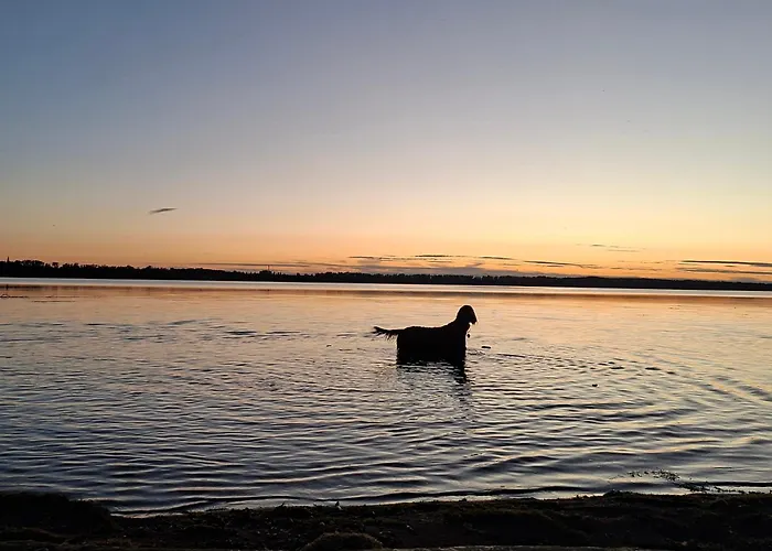 2 Familie Siegl Pouch